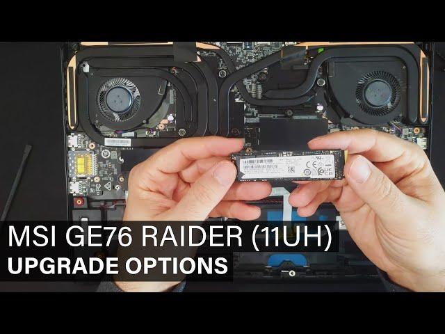 MSI GE76 RAIDER (11UH) - DISASSEMBLY and UPGRADE OPTIONS