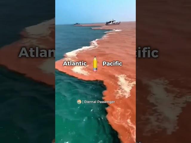 Why don’t the Atlantic and Pacific Oceans mix? SubhanAllah #shorts #short #shortvideo