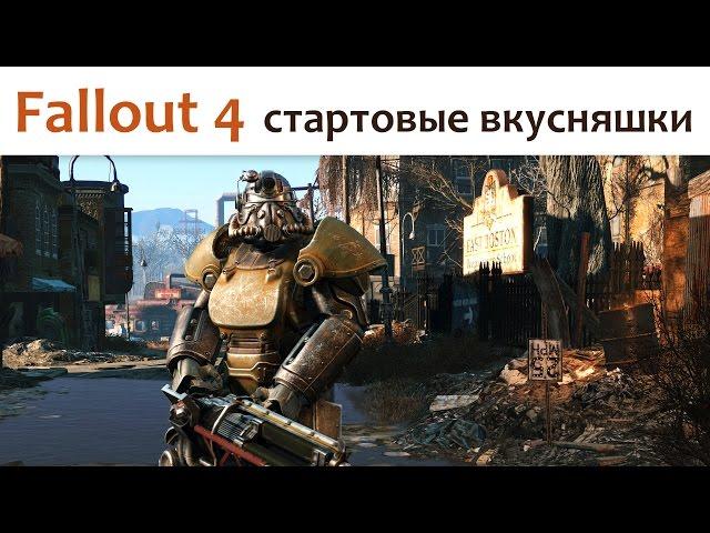 Fallout 4 (стартовые вкусняшки)