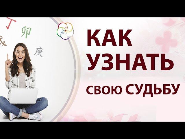 БАЦЗЫ для начинающих: Как узнать свою Судьбу