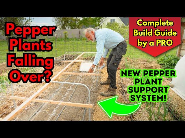 Genius Pepper "Trellis" Fixes Plants Falling Over, Breaking or Tasting Like Dirt! DIY Build Hack