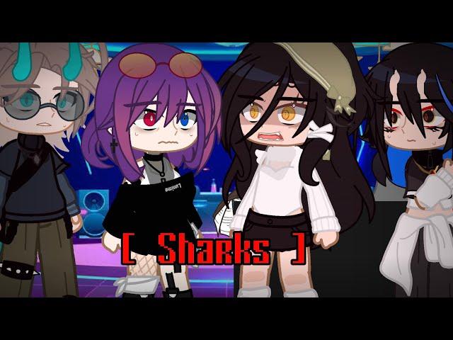 }-  |{ Sharks }|  -{[|/ Gacha Club \|] GCMV