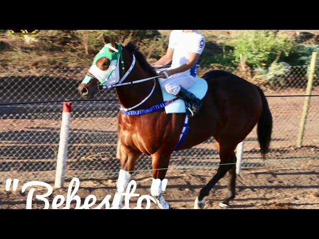 El Bebecito Corral los Valerias-Toño Vásquez-PUROS CORRIDOS CHILENEROS