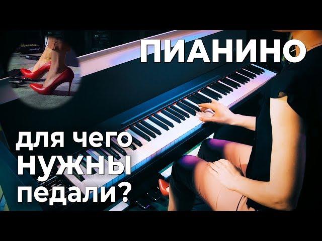 Пианино для начинающих: для чего нужны педали?