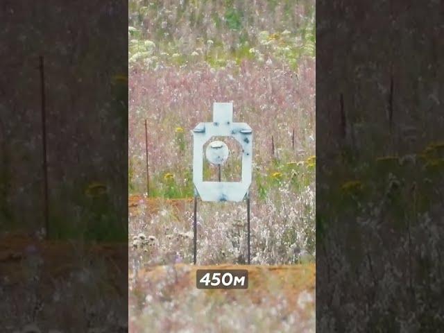 Полёт пули на дистанции 450м