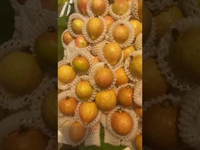 GWAVA MOST SOUR FRUITS #fruit #shortvideo