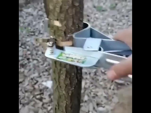 “This tool is used to kill off part is a tree   #tiacrew #diy #tree  Follow @creative engineerrr  S