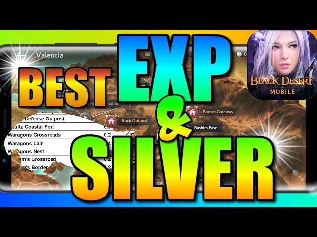 West Valencia Analysis, Best Experience & Silver by location, Black Desert Mobile