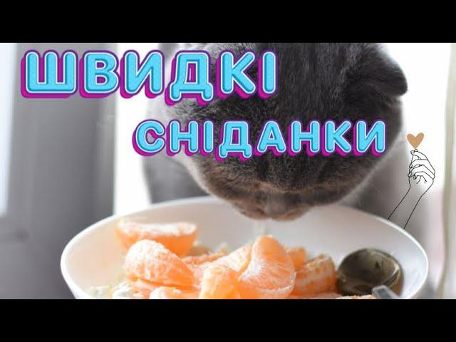 ЩО ПРИГОТУВАТИ НА СНІДАНОК | ідеї смачних та простих сніданків | breakfast recipe 