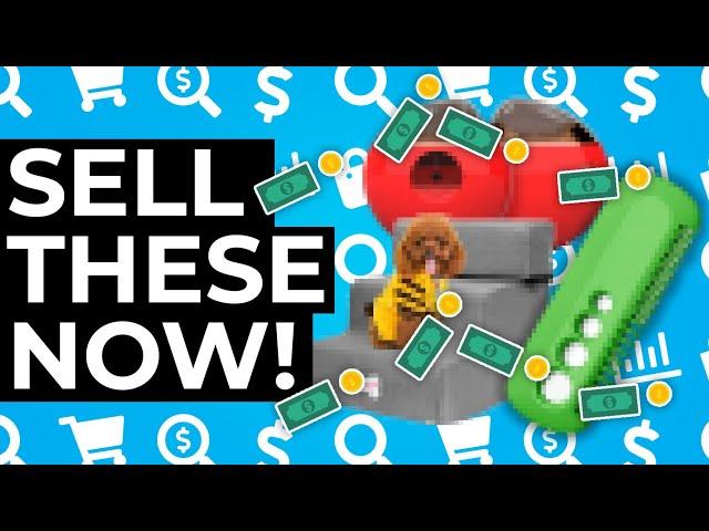 10 Dropship Products That Will Make You $$$!!