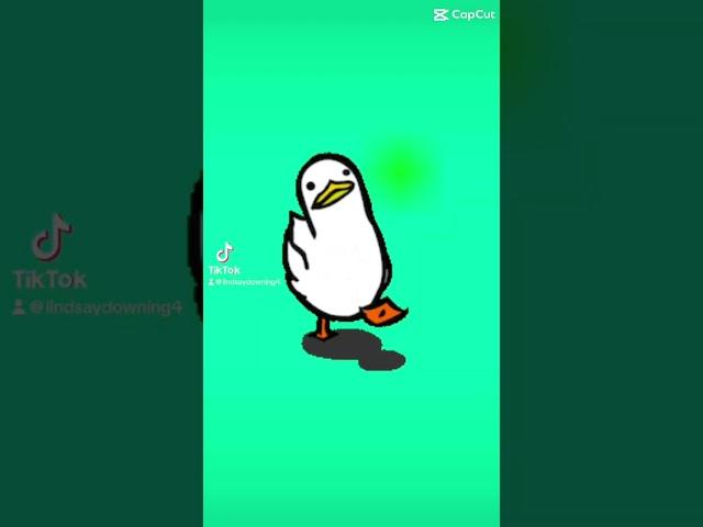 Duckster