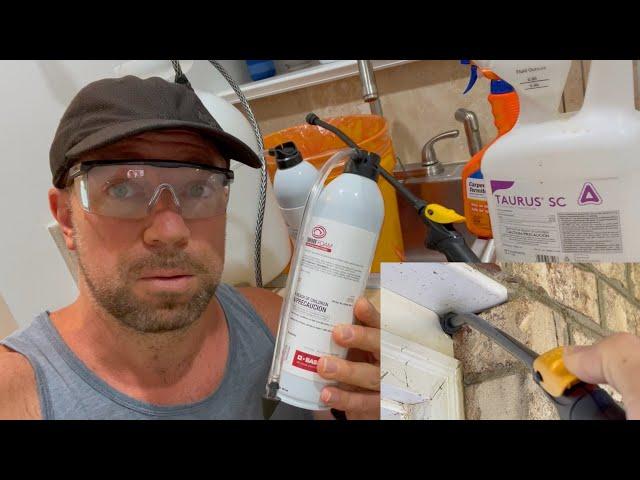 This DIY Termite Treatment Cost Me Less Than $165 and Can Get Rid of Termites Forever!