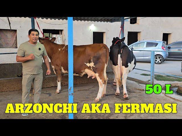 ARZONCHI AKA FERMASI GIGANT 50 LITR SUTGA JAVOBI BN SIGIRLA KELDI