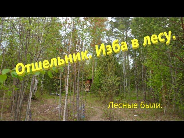 Отшельник.Изба в лесу.Жизнь в одиночестве в тайге.Сезон 2022 год.