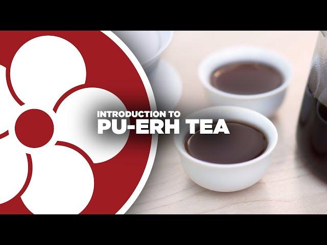 What is Pu-erh Tea?