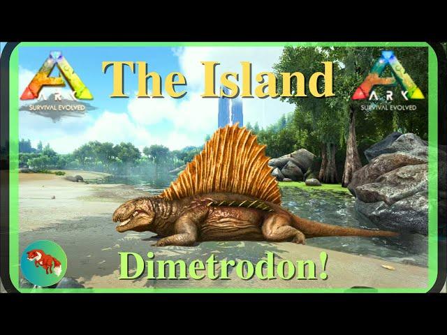 This is a great tame!  ARK Survival Evolved - SOLO - The Island 2024 (EP16)