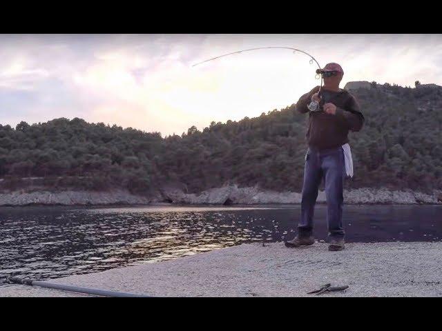 Barracuda from shore... Fishing Greece...