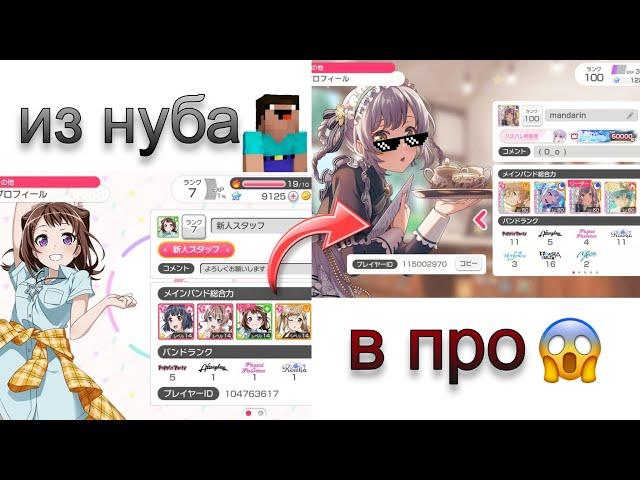 из нуба в про в бандори || гайд по прокачке аккаунта BanG Dream