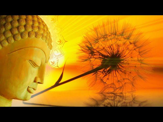 432 Hz | Reiki Music For Healing At All Levels | Physical, Mental, Emotional & Spiritual Healing
