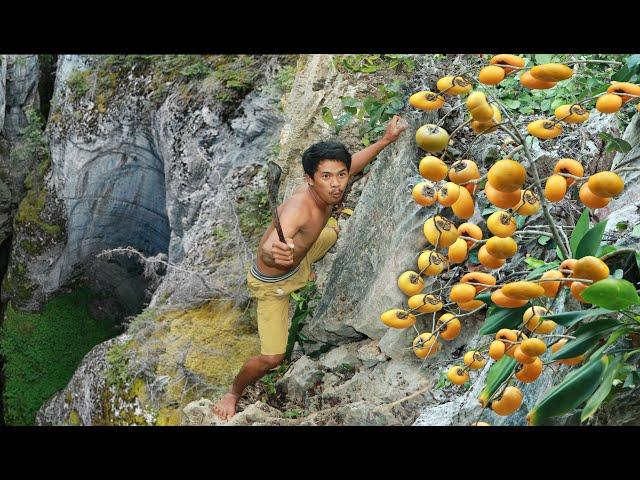 Use Life In Jungle Find Fruits are food - hungry men Eating Persimmon delicious