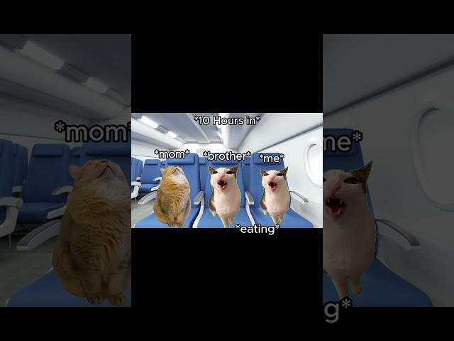 CAT MEMES  12 HOUR Flight To Korea #catmemes #relatable #shorts