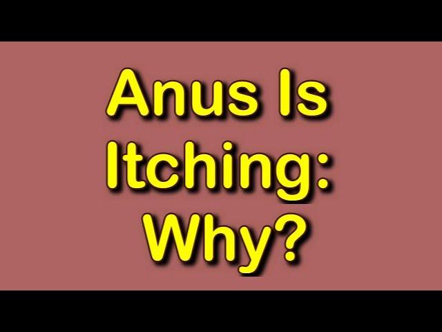 Anus Is Itching: Why?