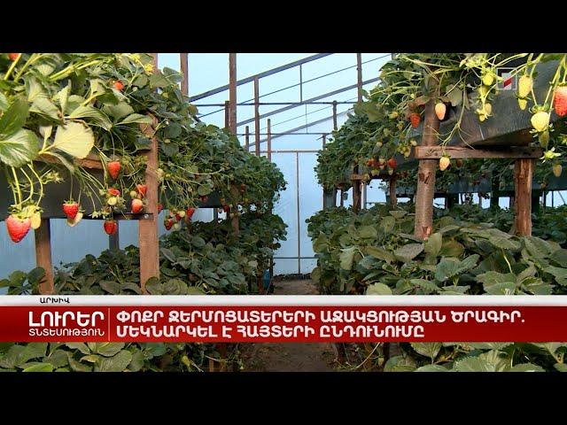 Փոքր ջերմոցատերերի աջակցության ծրագիր. մեկնարկել է հայտերի ընդունումը