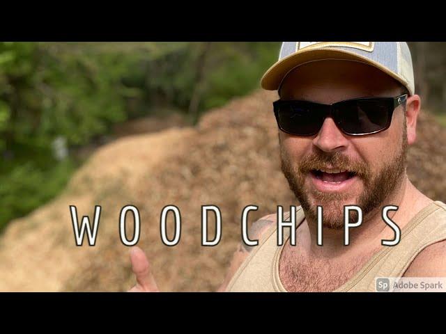 FREE wood chips!
