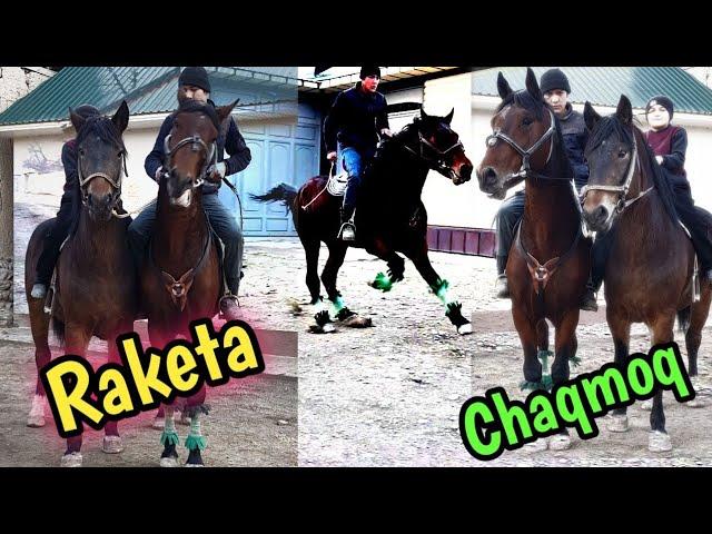 RAKETADAY UCHADI DEDIMI  OTLARNI KURING SOTILADI RAKETA & CHAQMOQ #uloq#otlar#otbozor#horses#лошад