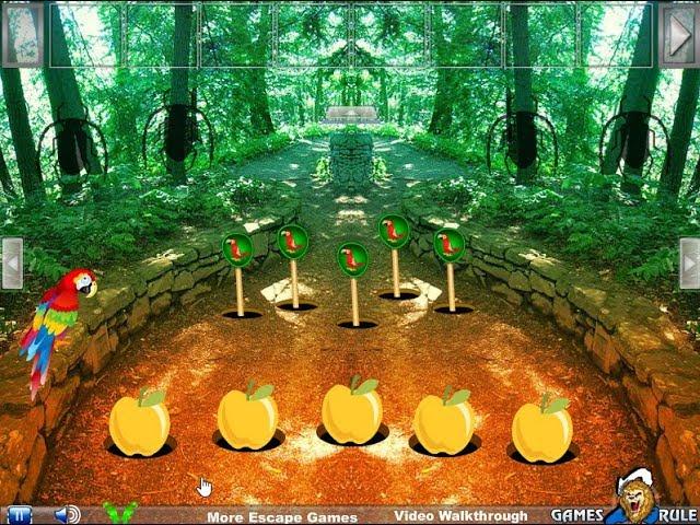 Scarlet Macaw Forest Escape Walkthrough [Games2Rule]