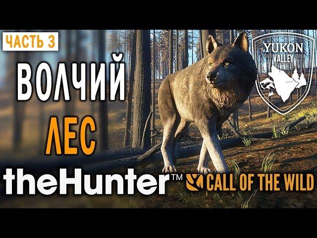 theHunter Call of the Wild #3  - Волчий Лес - Долина Юкона, Аляска