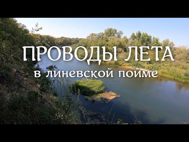 Проводили лето в Линевской пойме