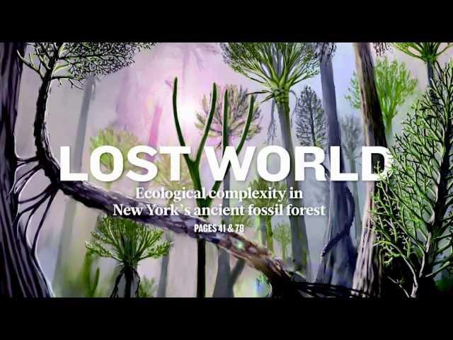 World's Oldest Fossilized Forest Unearthed in NY