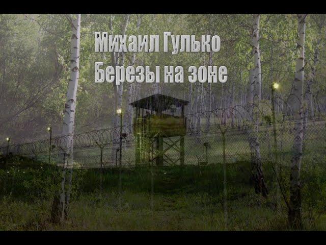 Михаил Гулько. Березы на зоне.