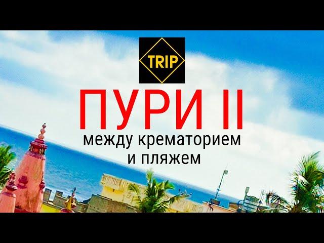 ДЖАГАННАТХА ПУРИ 2 | 40 дней между Крематорием и пляжем ️ TRIP