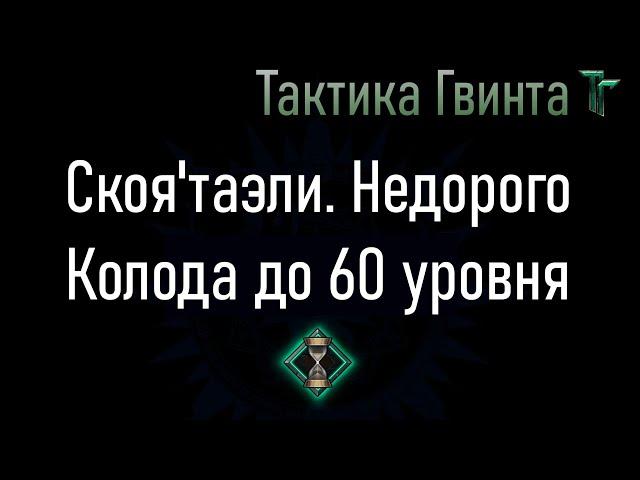 Колода-04/Скоя'таэли/Недорогая, на Стартовой колоде Скоя'таэли [Гвинт Карточная Игра]