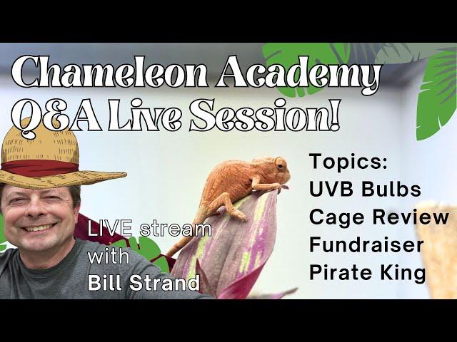 Live Chameleon Q&A