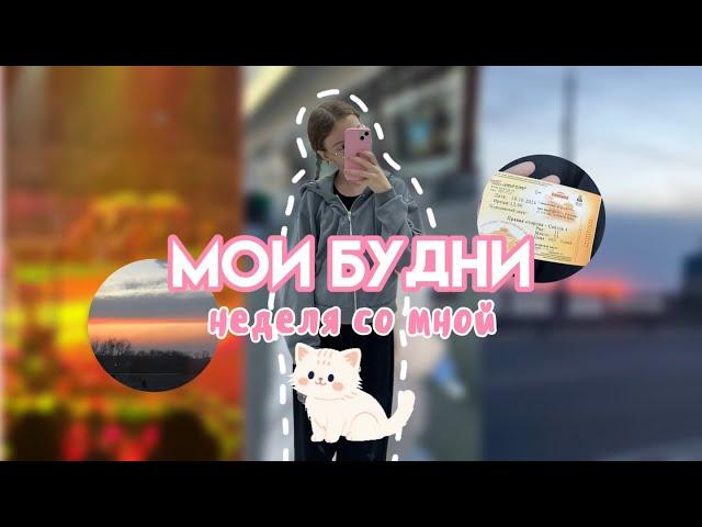 мой недельный влог | моя неделя \\ влог