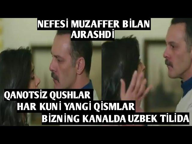 QANOTSİZ QUSHLAR SERIALI BİZNİNG KANALDA DAVOM ETADİ 99-QISM (NEFESİ MUZAFFER BİLAN AJRASHDİ)