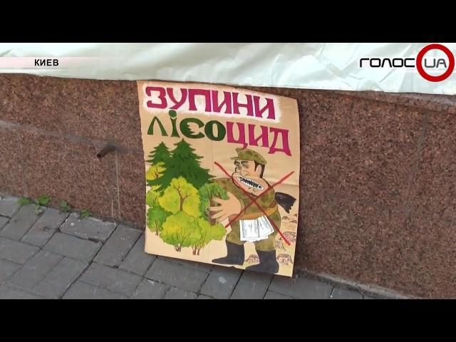 Украину могут исключить из ЮНЕСКО за рубку лесов: Экологи пикетировали Гослесагентство