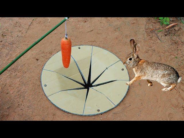 Building Creative Hole Rabbit Trap