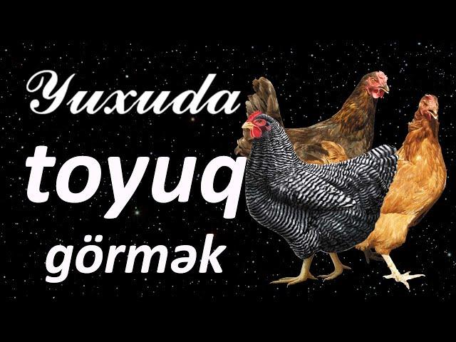 Yuxuda toyuq görmək  Qısa Yuxuyozma