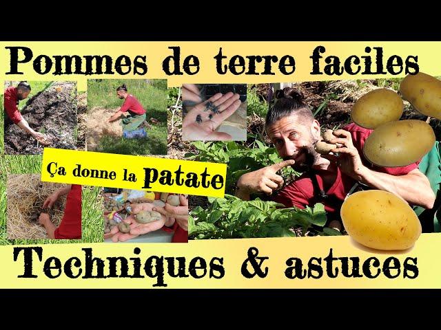 Pommes de terre faciles... Astuces et techniques de productions !