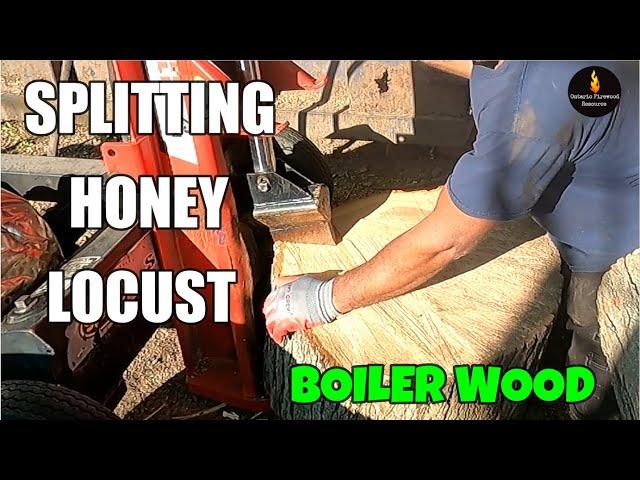 SPLITTING HONEY LOCUST FIREWOOD