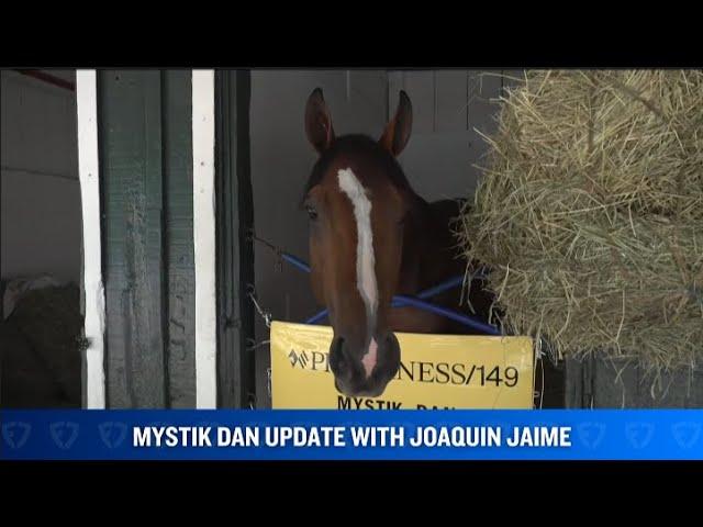 Update on Kentucky Derby Winner & Preakness Stakes Contender Mystik Dan