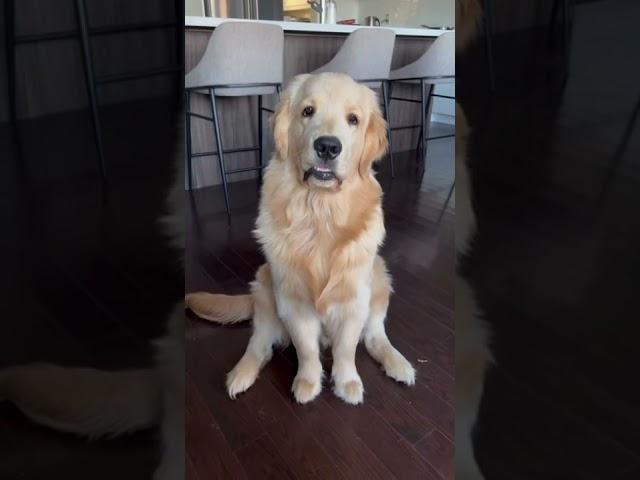 Just try and stop me Doris