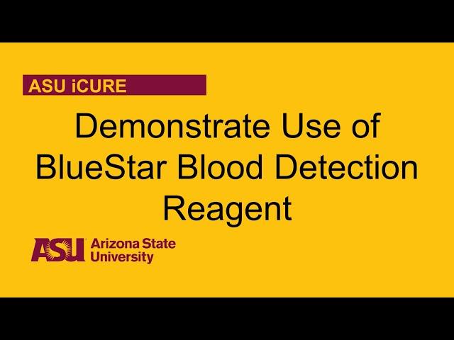 Demonstrate Use of BlueStar Blood Detection Reagent