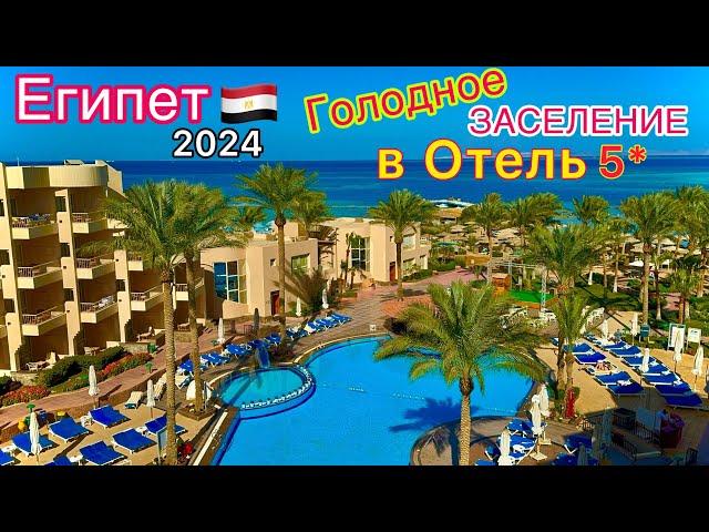 Египет 2024 ДУРЯТ на всём! ЗАСЕЛЕНИЕ в БЮДЖЕТНУЮ пятёрку Sea Star Beau Rivage 5*. Хургада СЕГОДНЯ