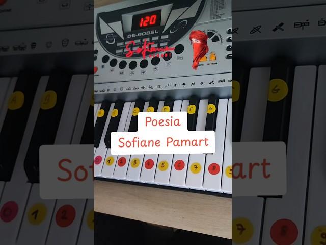 Joue Poesia de Sofiane Pamart au piano avec ce tuto #piano #tutopiano #pamart #poesia #sofianepamart