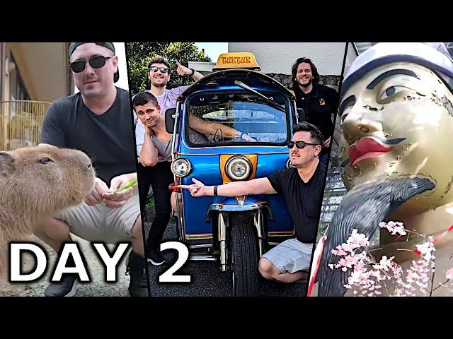 FEEDING ZOO ANIMALS & SEEING THE SIGHTS IN JAPAN | RV Trip 2 (Day 2)